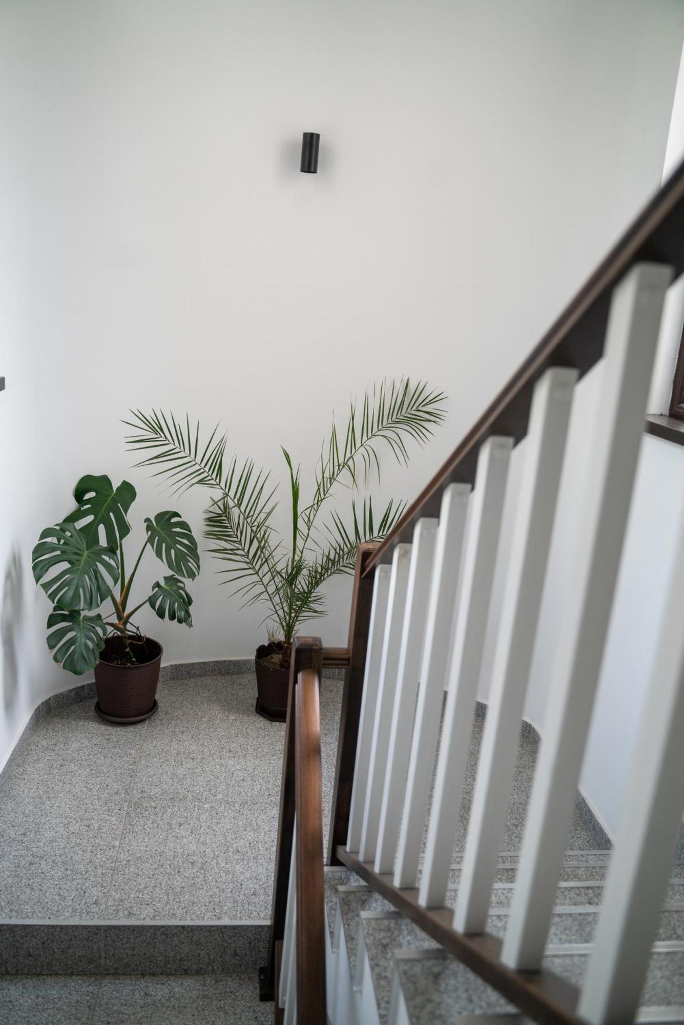 Varbilau Din Natura מראה חיצוני תמונה