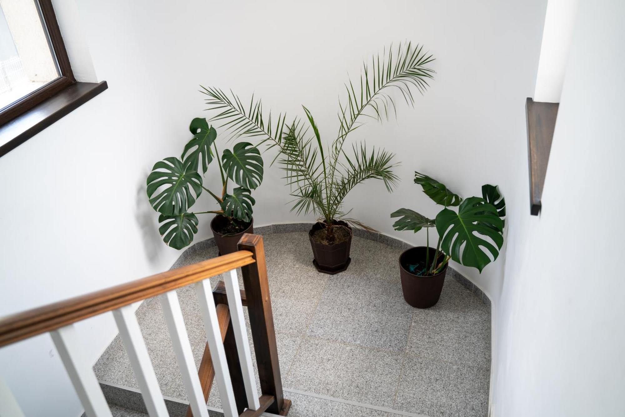 Varbilau Din Natura מראה חיצוני תמונה